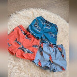 Tea collection toddler mid length  swim trunks